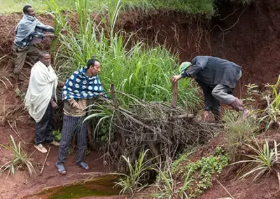 Äthiopien: Nature First – Agroforstwirtschaft für Ernährung und Umwelt